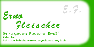 erno fleischer business card